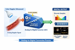 Analog-to-Digital Converter (ADC)
