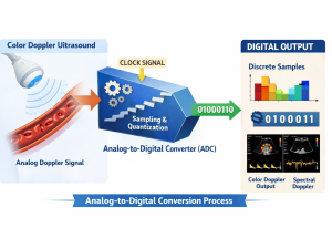 Analog-to-Digital Converter (ADC)